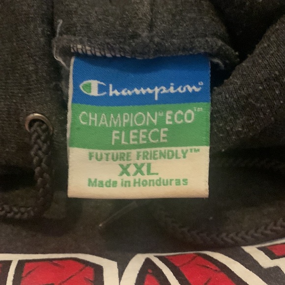 DePaul Champion Hoodie - Picture 4 of 4